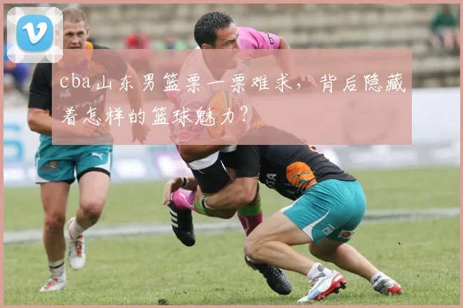 cba山东男篮票一票难求,背后隐藏着怎样的篮球魅力?