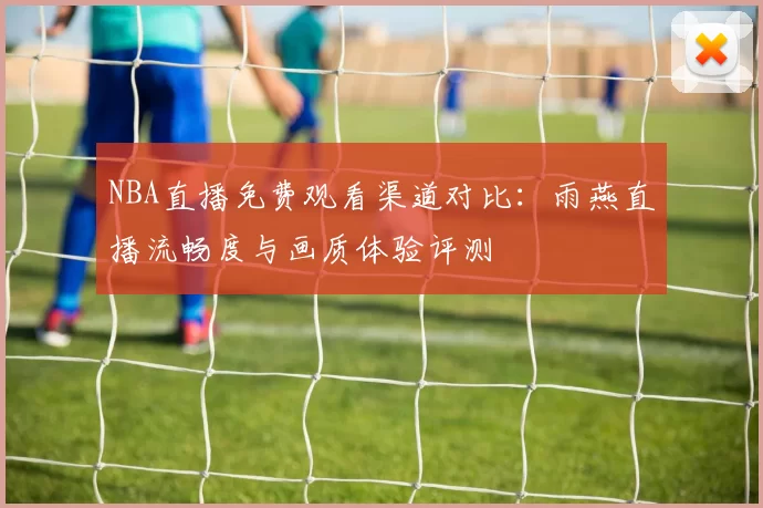 NBA直播免费观看渠道对比：雨燕直播流畅度与画质体验评测