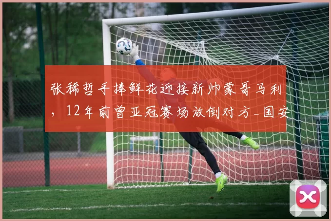 张稀哲手捧鲜花迎接新帅蒙哥马利，12年前曾亚冠赛场放倒对方_国安_战术_球迷