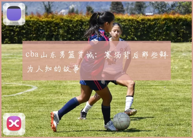 cba山东男篮贾诚:赛场背后那些鲜为人知的故事