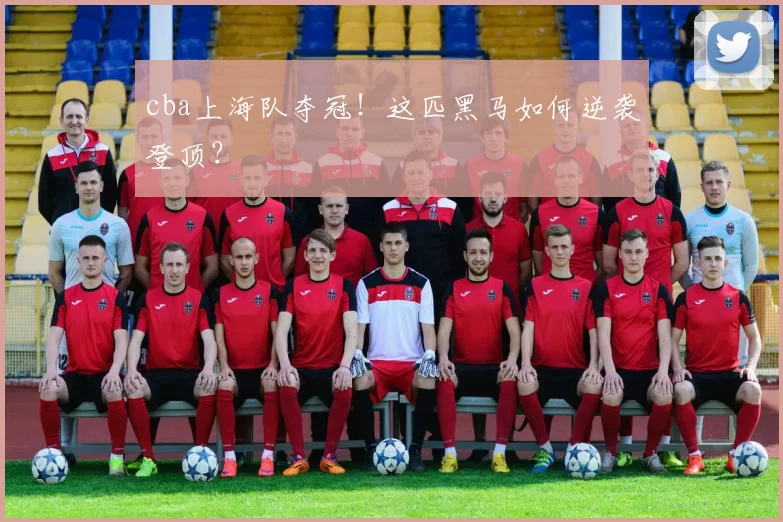 cba上海队夺冠！这匹黑马如何逆袭登顶？